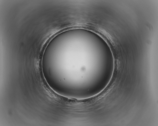 X0000111421260200907131155