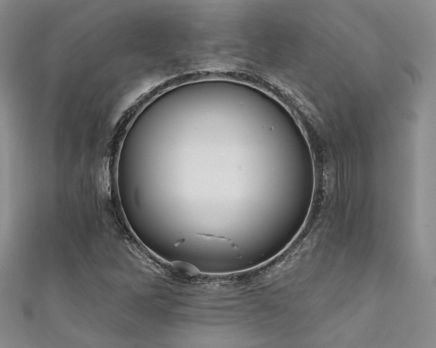 X0000111421262200907131155