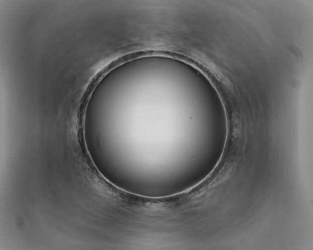 X0000111421264200907131155