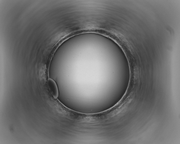 X0000111421265200907131155