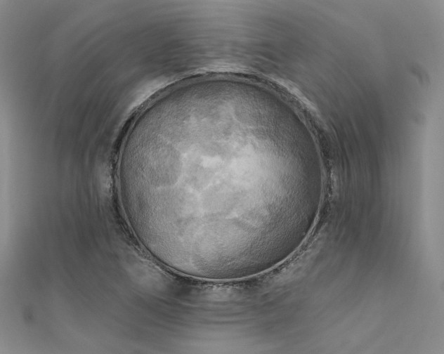 X0000111421266200907131155