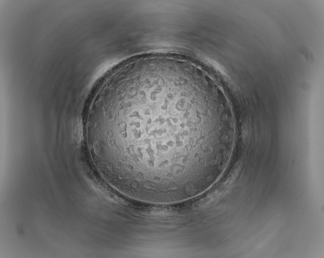 X0000111421267200907131155