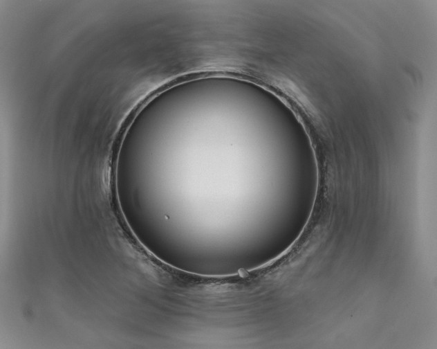 X0000111421268200907131155