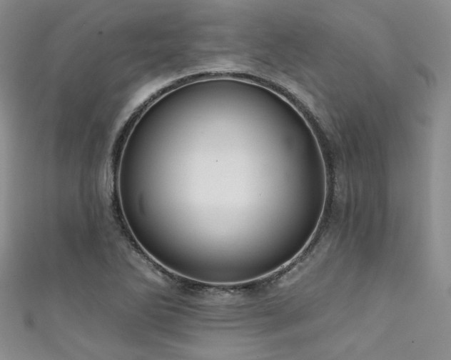 X0000111421270200907131155