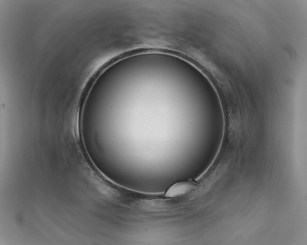 X0000111421272200907131155