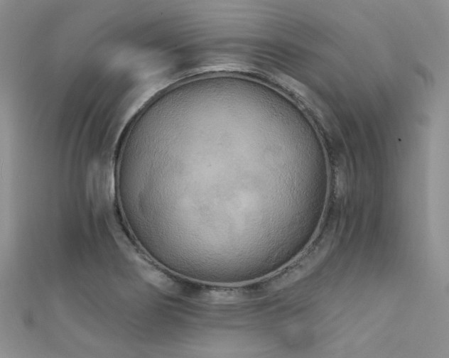 X0000111421274200907131155