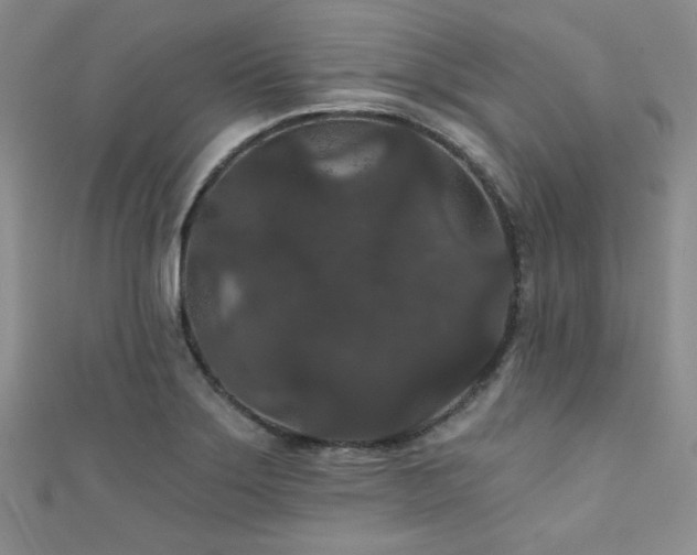 X0000111421275200907131155