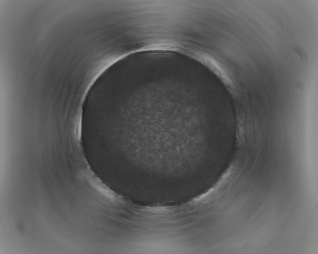 X0000111421276200907131155