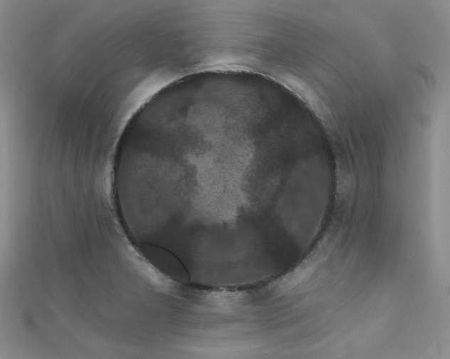 X0000111421277200907131155