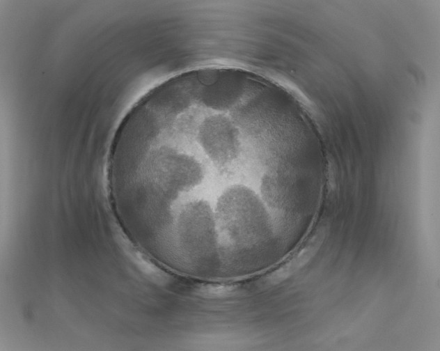 X0000111421278200907131155