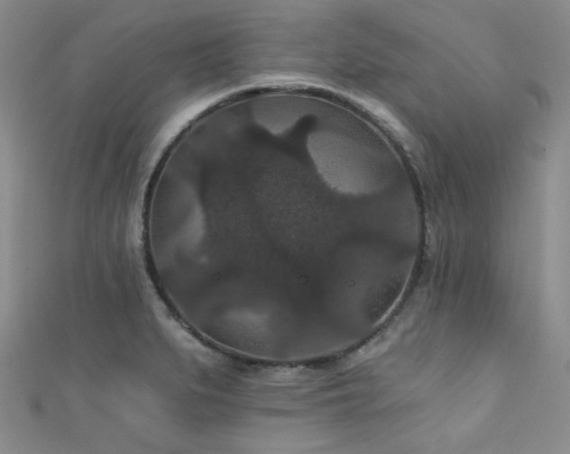 X0000111421279200907131155