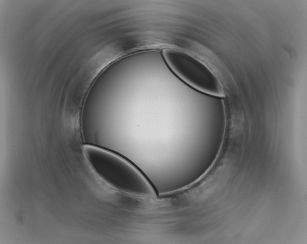 X0000111421281200907131155