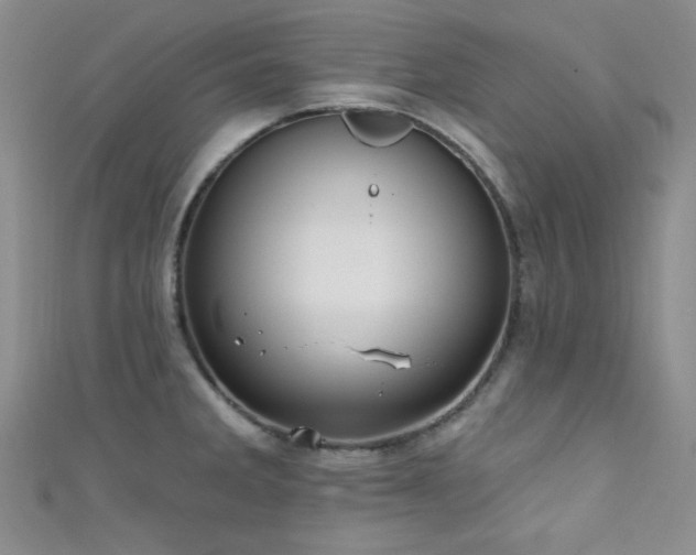 X0000111421285200907131154
