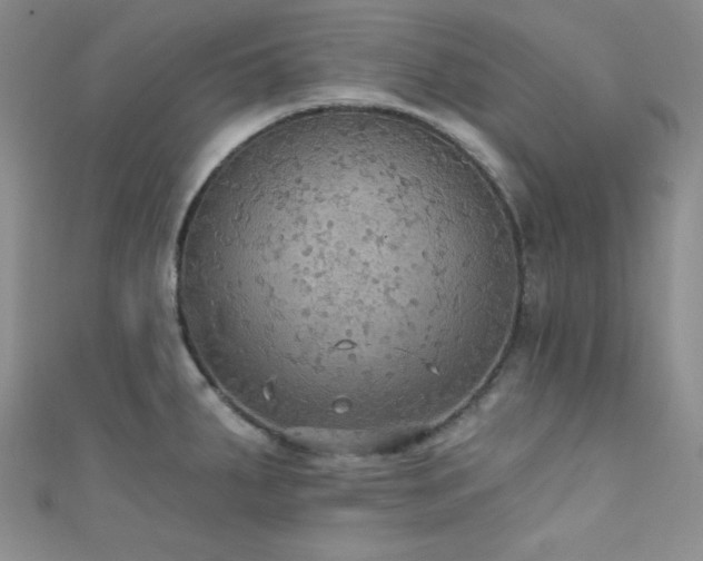 X0000111421287200907131154