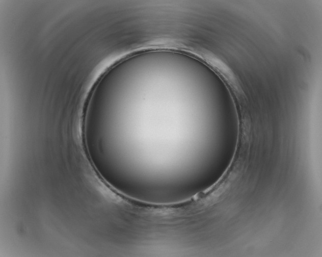 X0000111421288200907131154