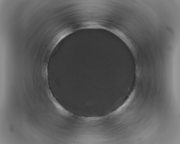 X0000111421289200907131154