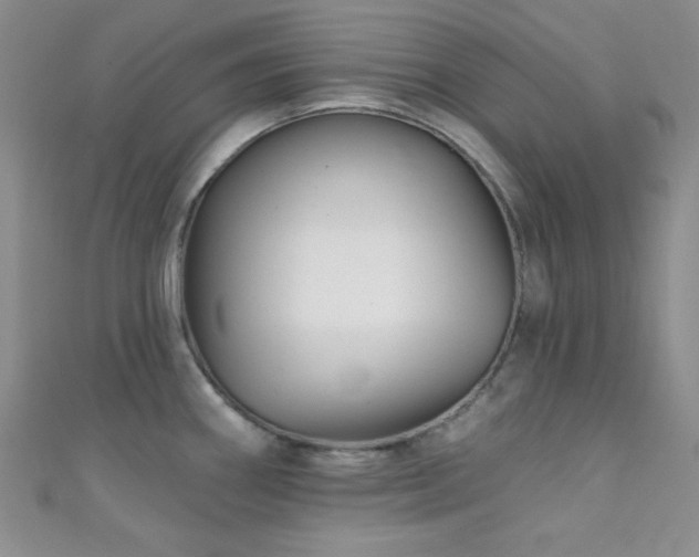 X0000111421290200907131154