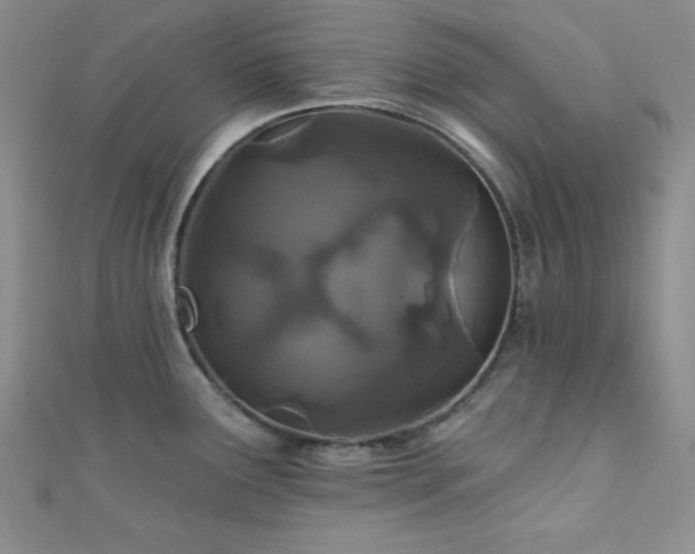 X0000111421291200907131154