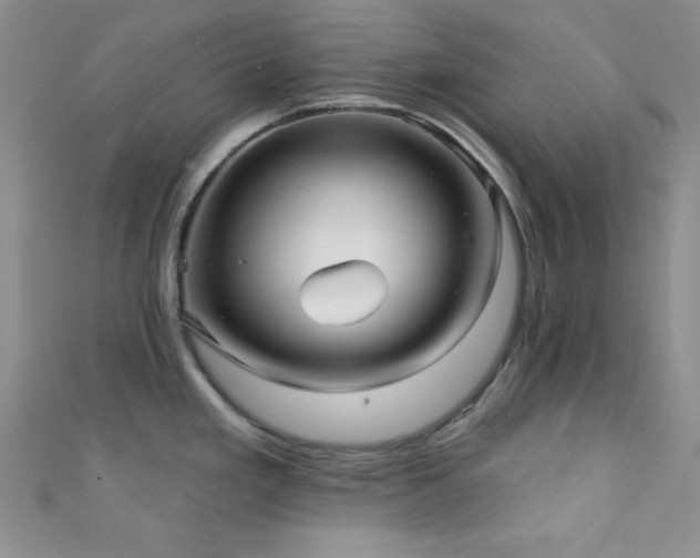 X0000111421293200907131154