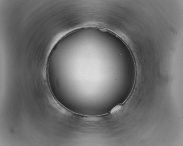 X0000111421296200907131154
