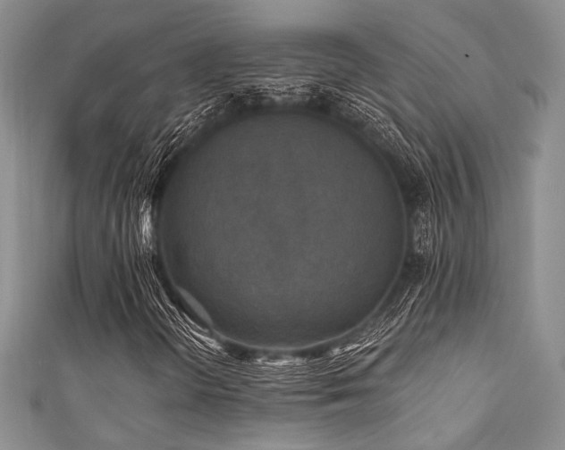 X0000111421298200907131154