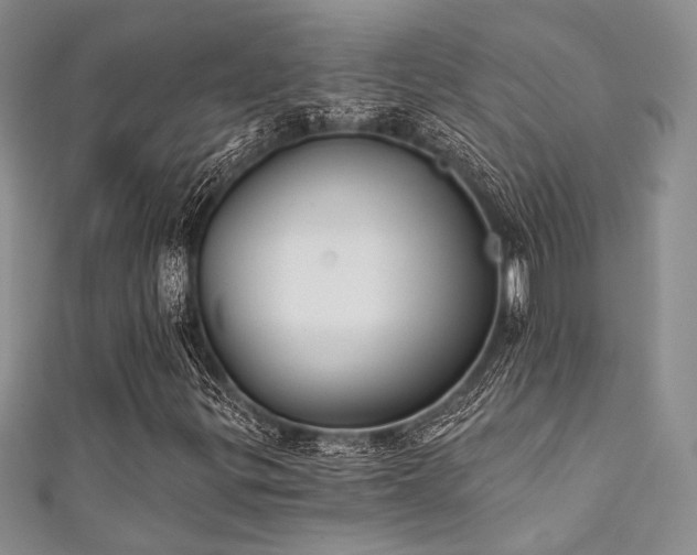 X0000111421299200907131154