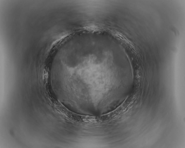 X0000111421302200907131154