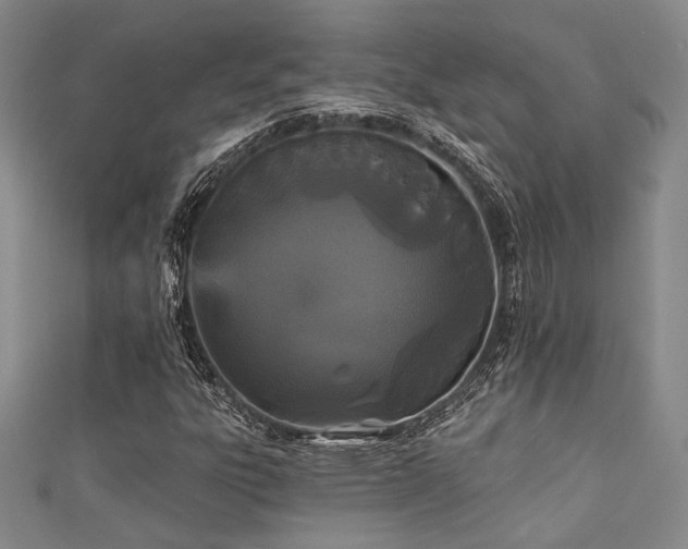 X0000111421303200907131154