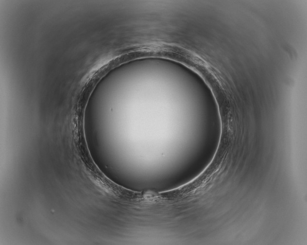 X0000111421304200907131154
