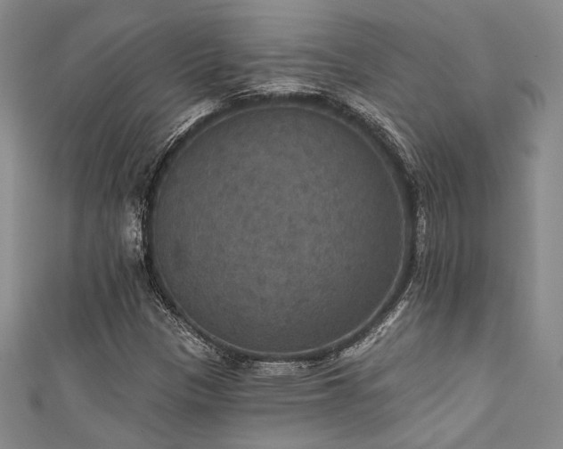 X0000111421305200907131154