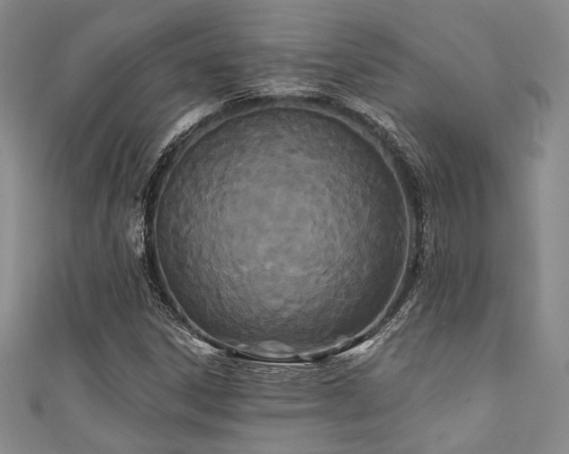 X0000111421306200907131154