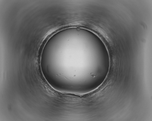 X0000111421308200907131154