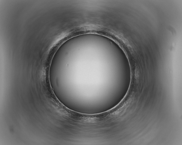 X0000111421309200907131154