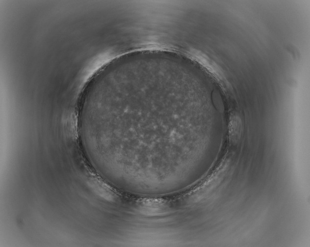 X0000111421310200907131154
