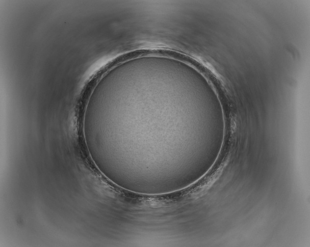 X0000111421311200907131154
