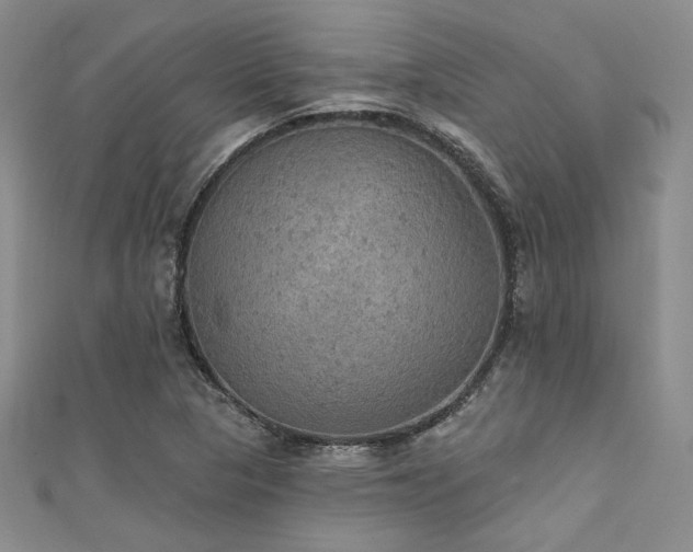 X0000111421313200907131154