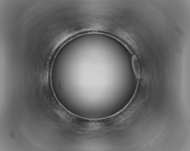 X0000111421316200907131154