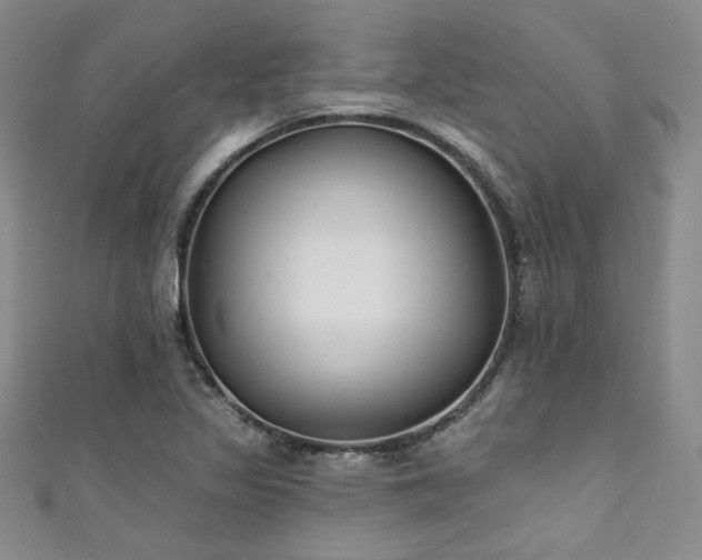 X0000111421317200907131154