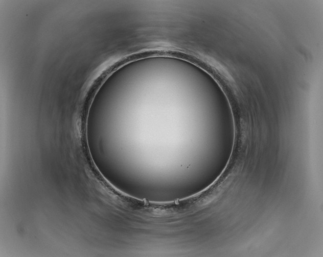 X0000111421318200907131154