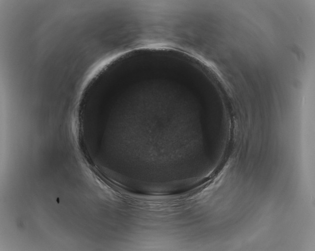X0000111421319200907131154