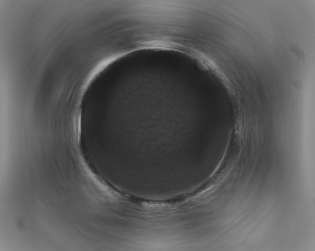 X0000111421323200907131154