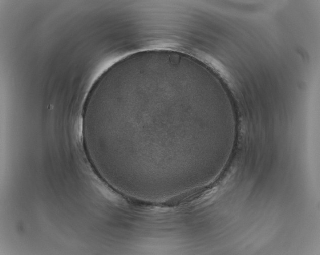 X0000111421324200907131154