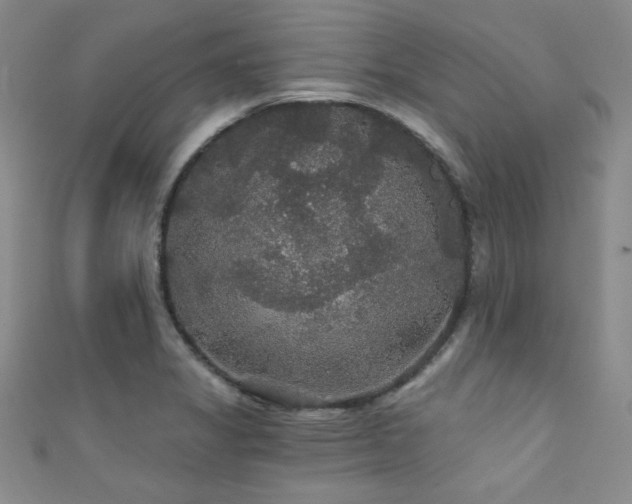 X0000111421325200907131154