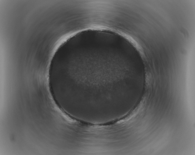 X0000111421327200907131154