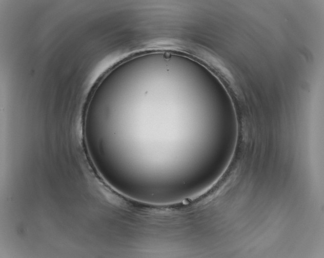 X0000111421328200907131154
