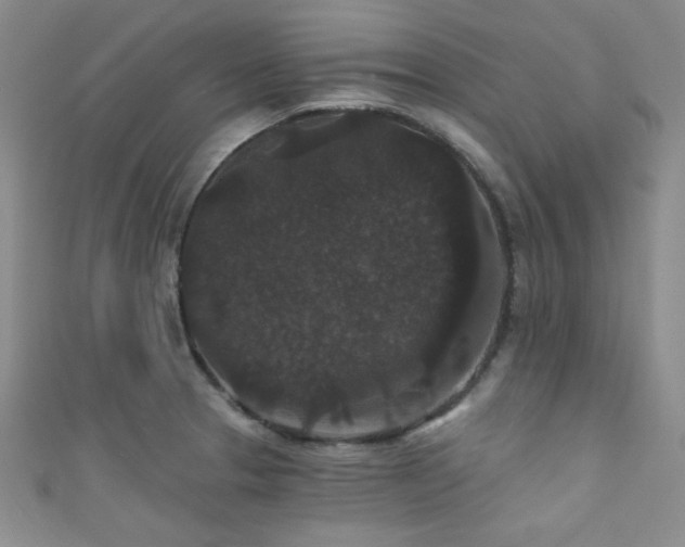 X0000111421329200907131154