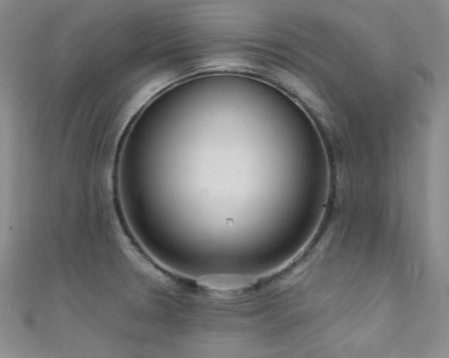 X0000111421330200907131154