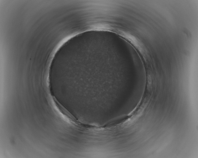 X0000111421331200907131154