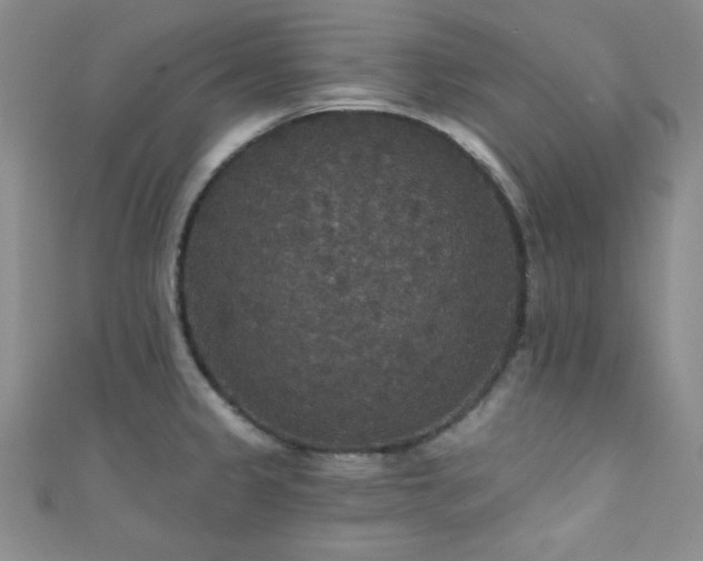 X0000111421333200907131154
