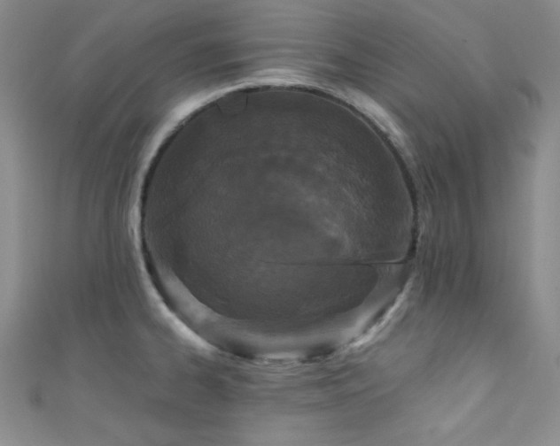 X0000111421334200907131154
